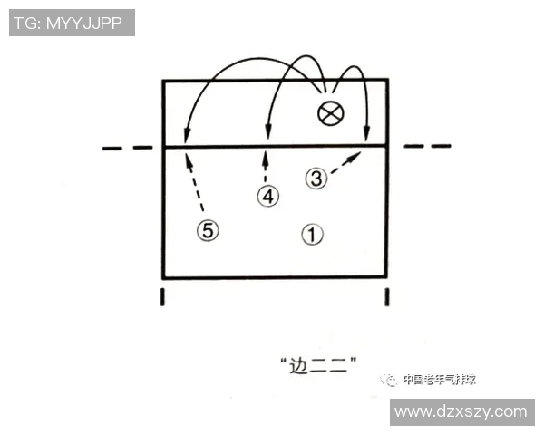 深圳排球队反击战术分析与得失评估探讨
