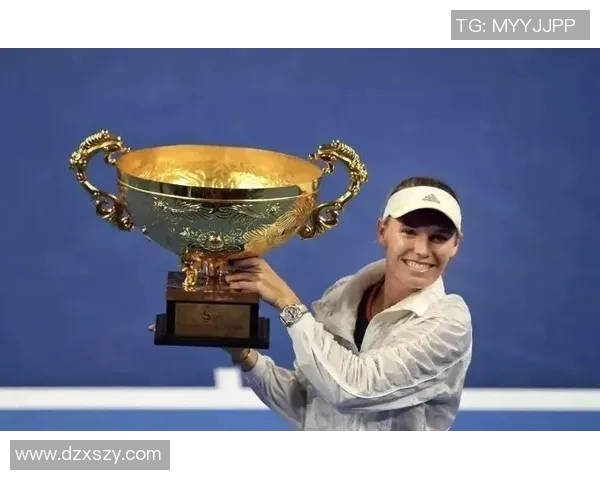 武汉网球队进攻战术解析：深度剖析网球竞技的制胜之道