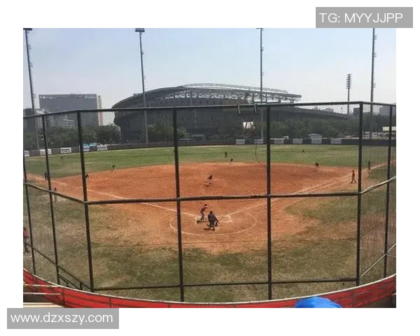 独特视角下的北京羽毛球队意识形态比较与发展趋势分析