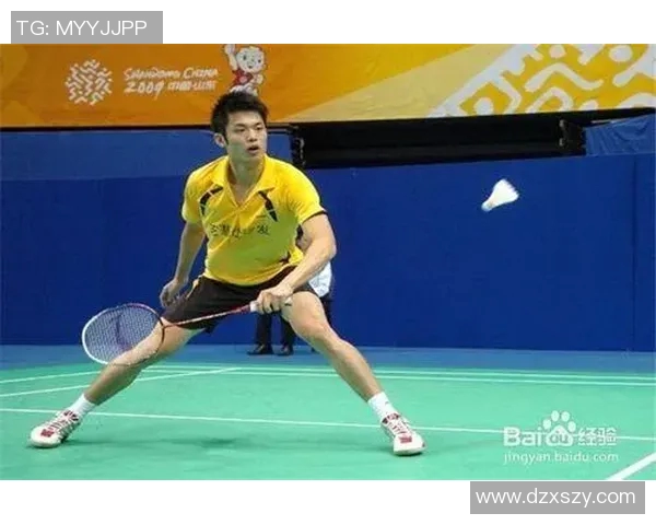 西安羽毛球队控制打法深度分析与战术解读